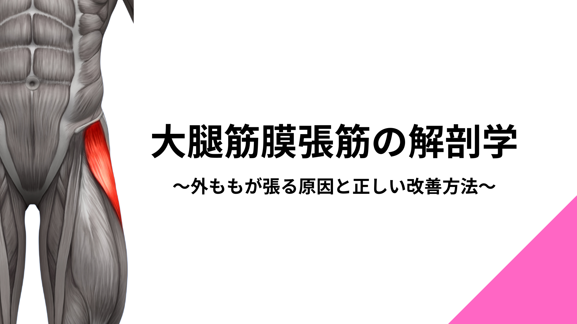 【大腿筋膜張筋とは？】外ももが張る原因と正しい改善方法
