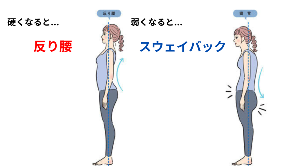 【実はここ】ダイエット停滞&猫背の原因“腸腰筋”を徹底解説