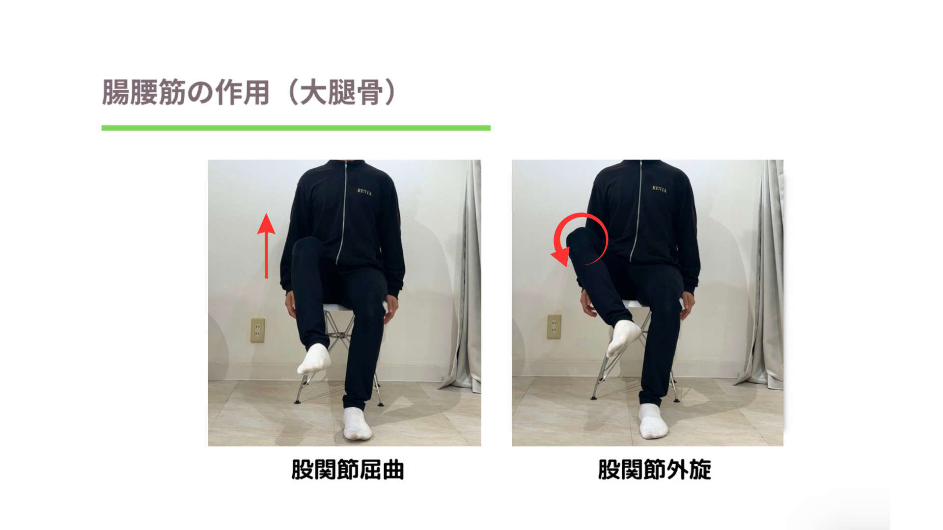 【実はここ】ダイエット停滞&猫背の原因“腸腰筋”を徹底解説